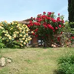 Antica Pietrara