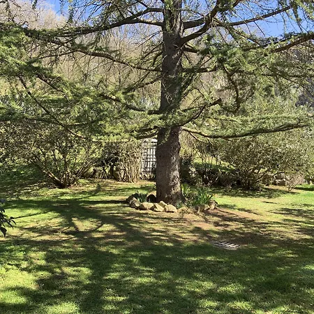 Bed & Breakfast Antica Pietrara