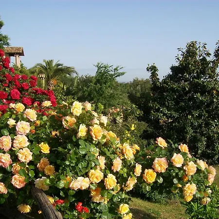 Bed and Breakfast Antica Pietrara Formello