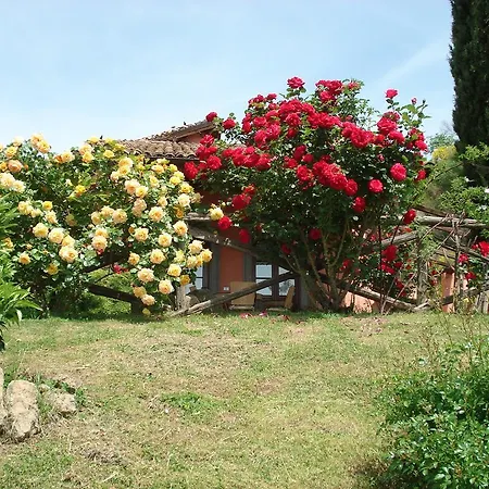 Antica Pietrara