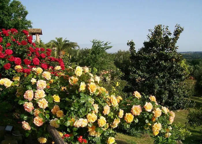 Bed & Breakfast Antica Pietrara Formello